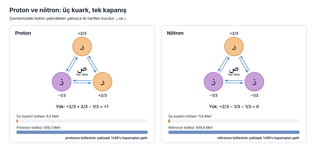 Proton ve nötron: üç kuark, tek kapanış