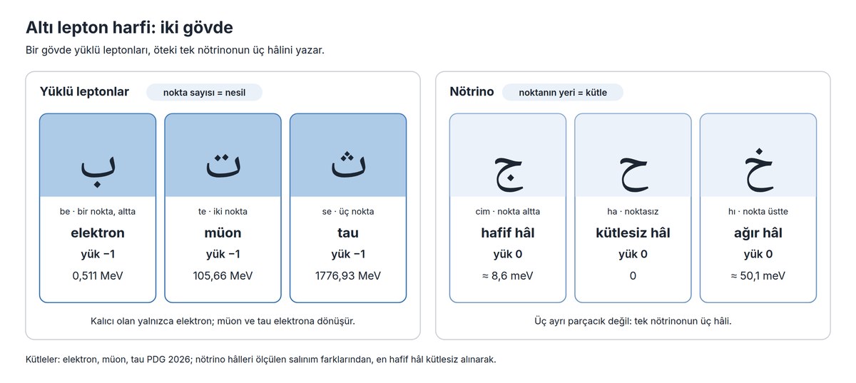 Altı lepton harfi: iki gövde