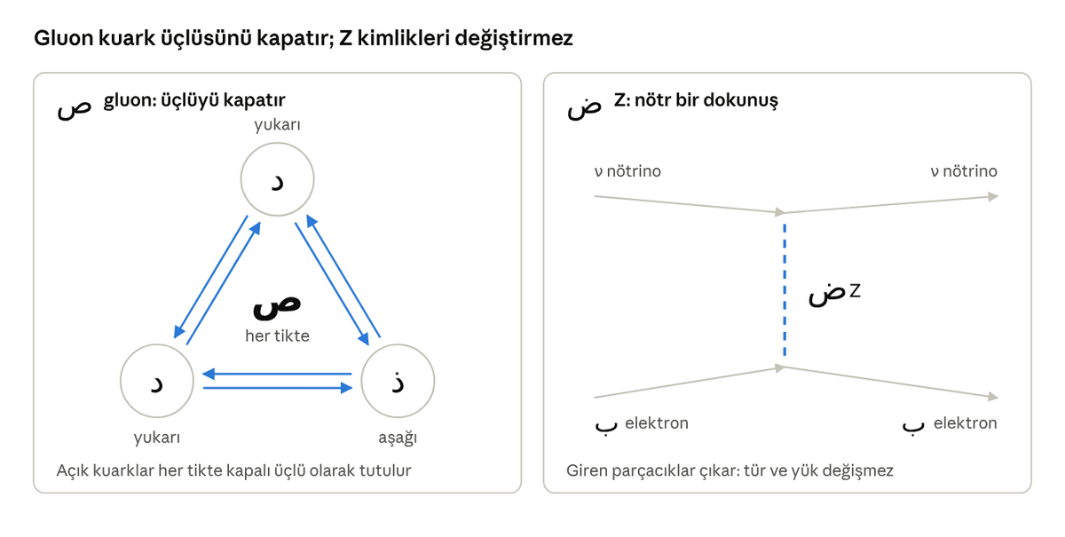 Nükleer çift: üçlüyü kapatmak ve nötr dokunuş
