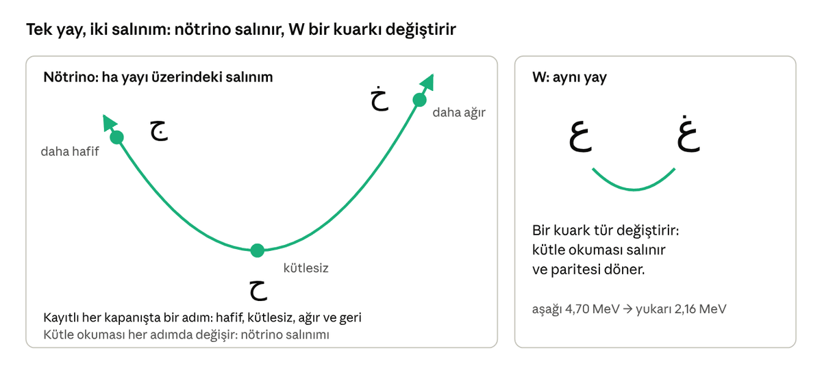 Ha yayı: nötrino salınımı ve W'nin tür değiştirmesi