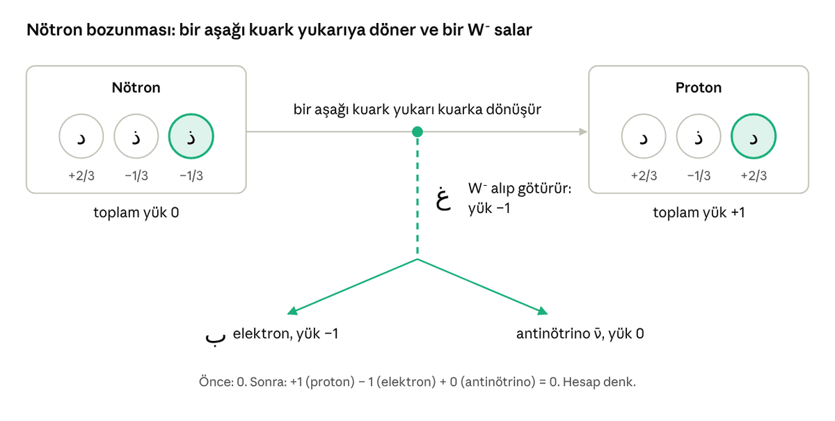 Geçiş çifti: غ üzerinden nötron bozunması